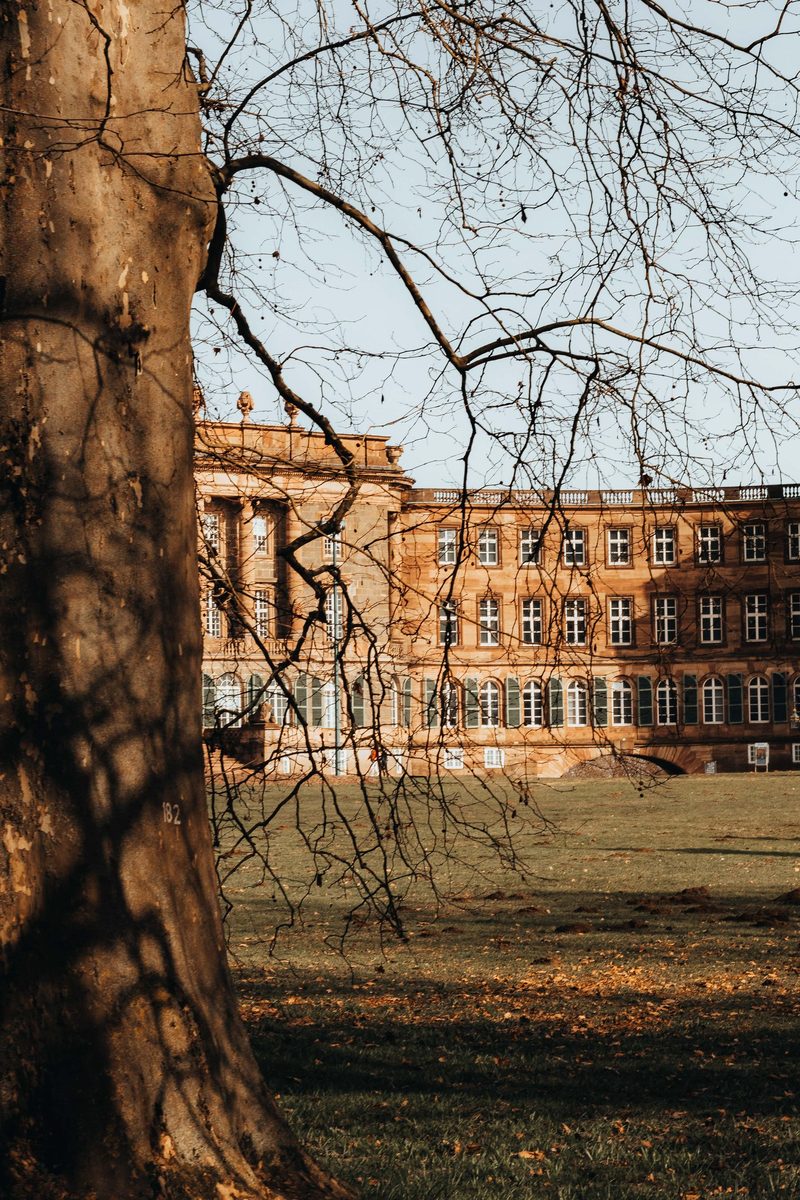 Historisches Schlossgebäude in Kassel hinter kahlen Bäumen